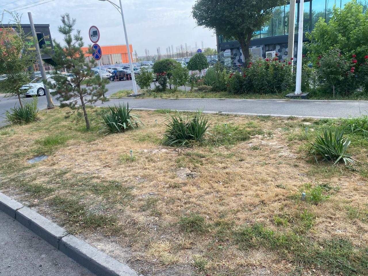 img-1