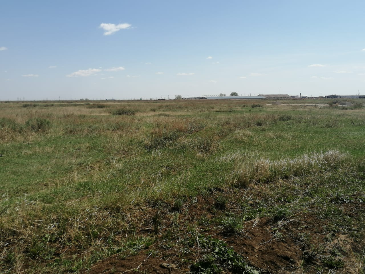 img-2