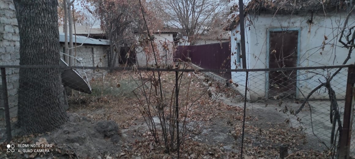 img-2