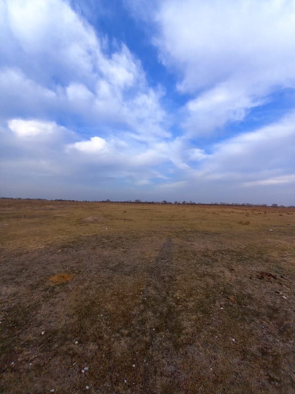 img-2