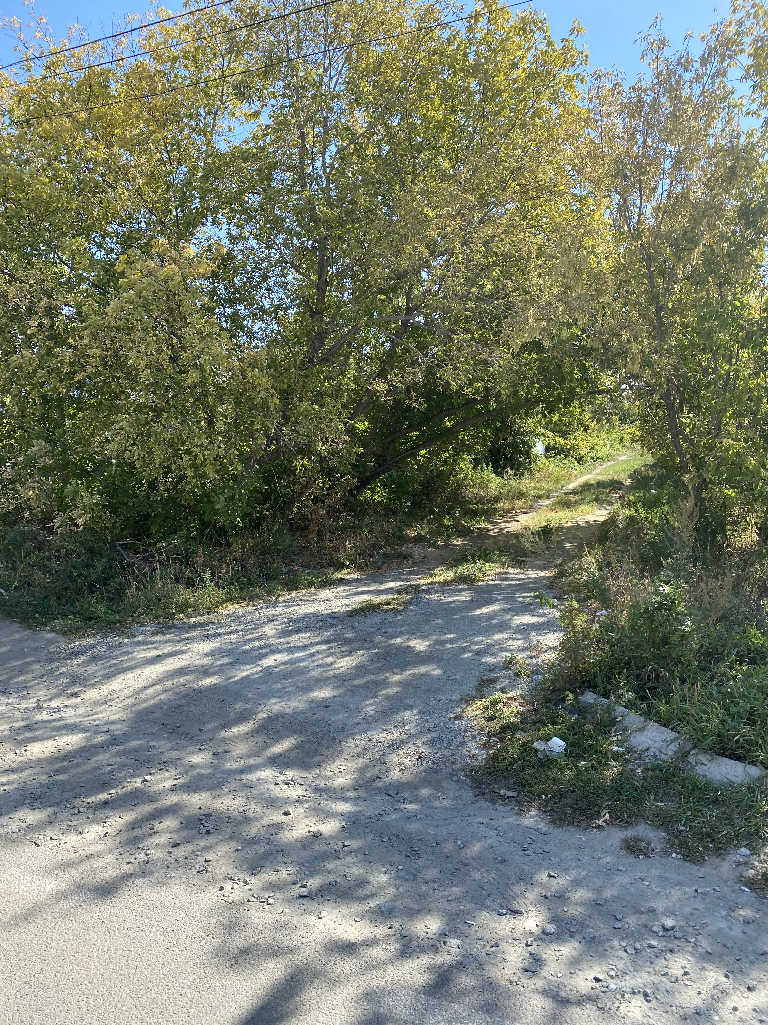 img-2