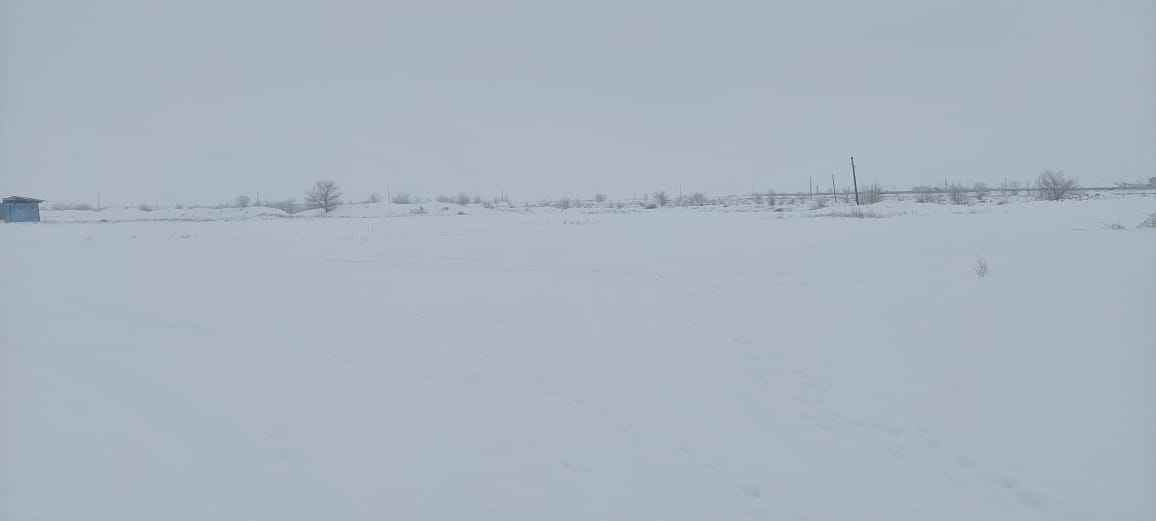 img-2