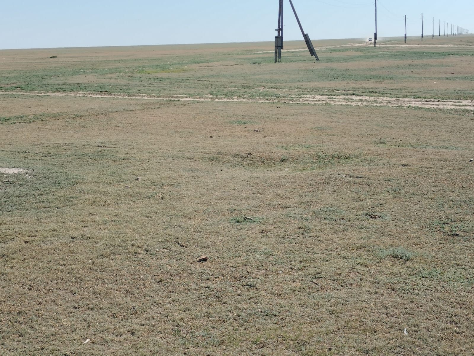 img-3