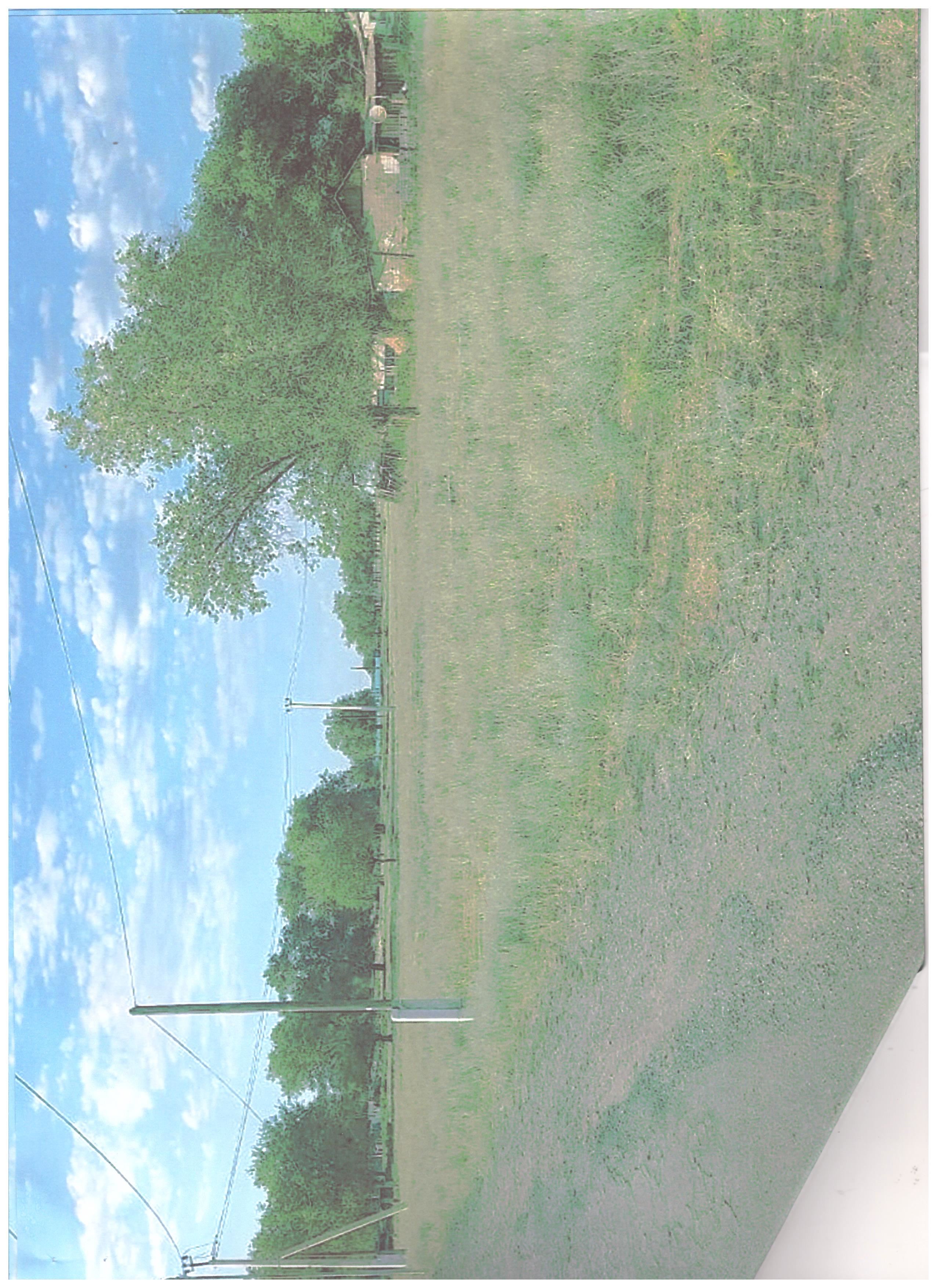 img-1
