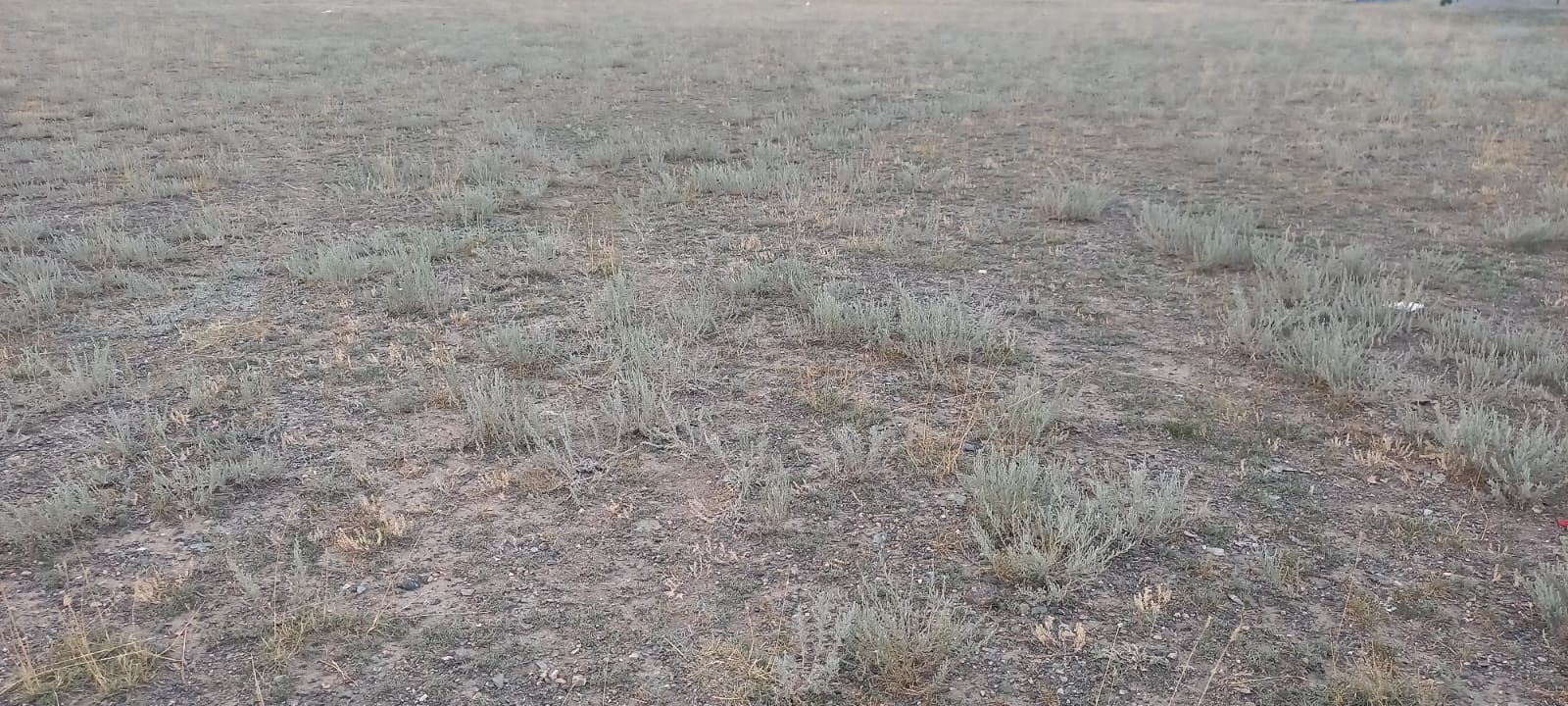 img-2