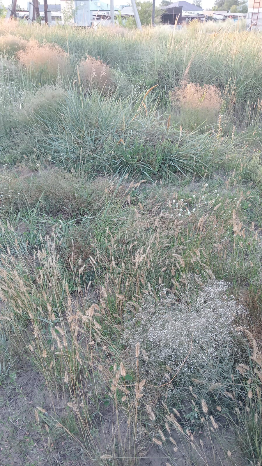 img-0