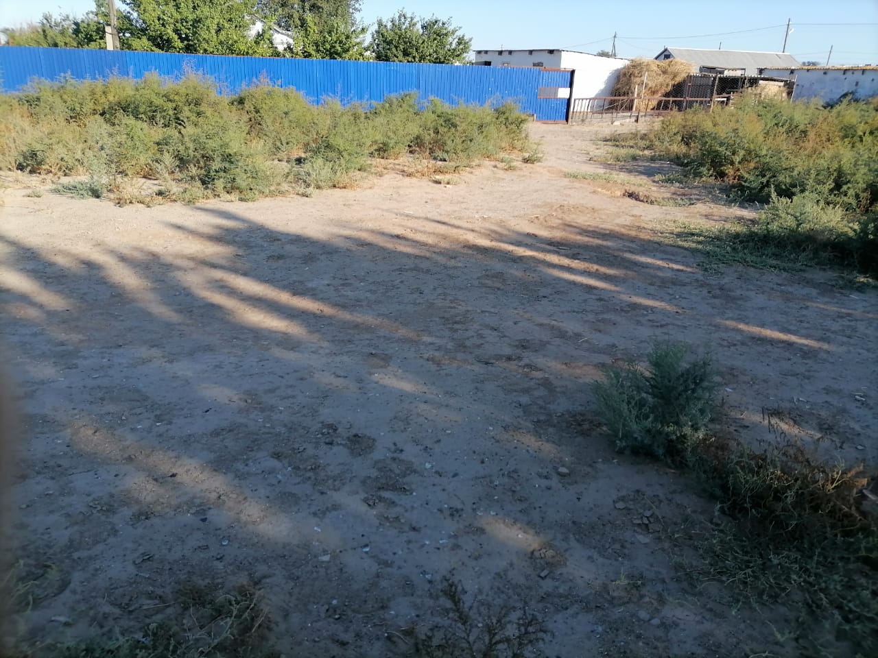 img-2