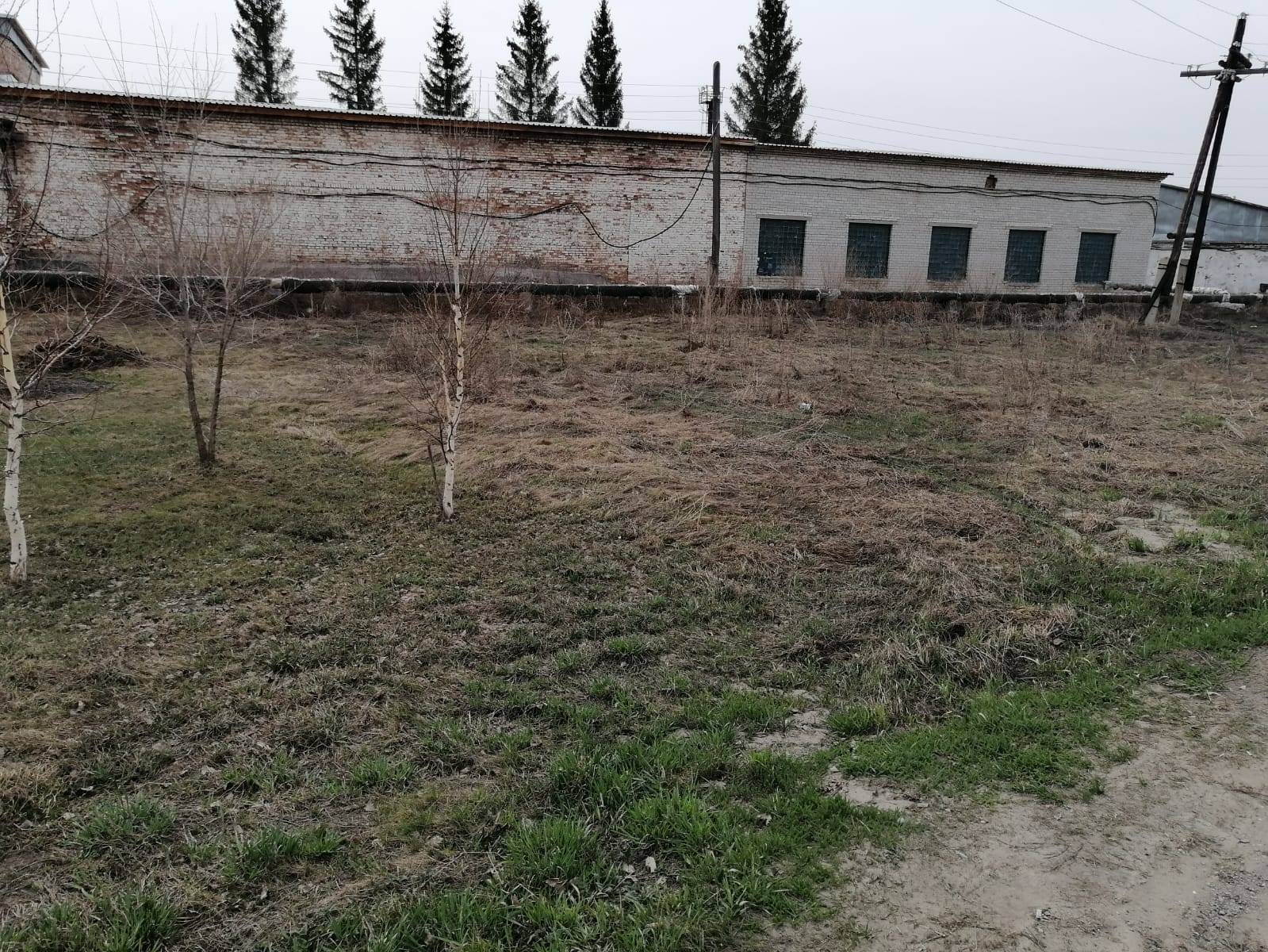 img-0