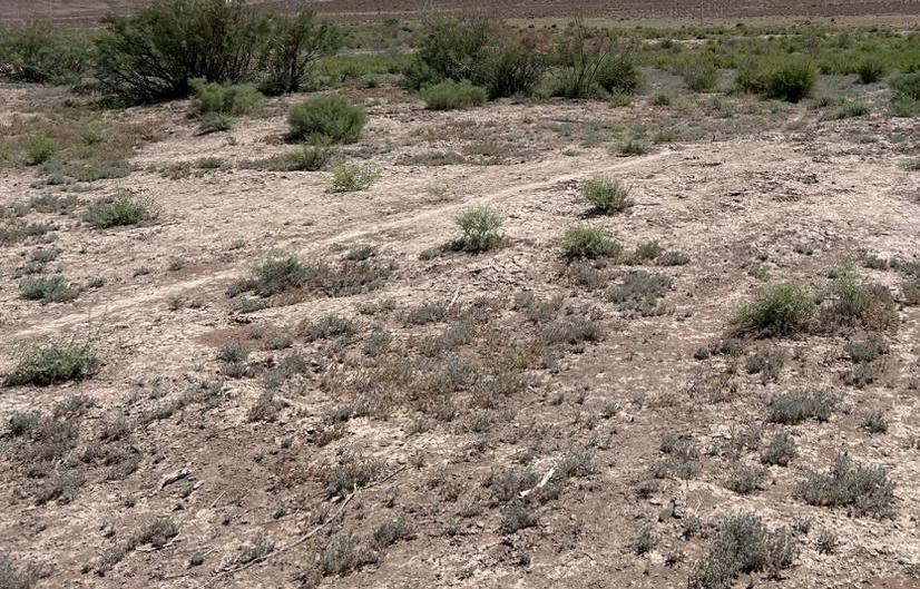 img-2