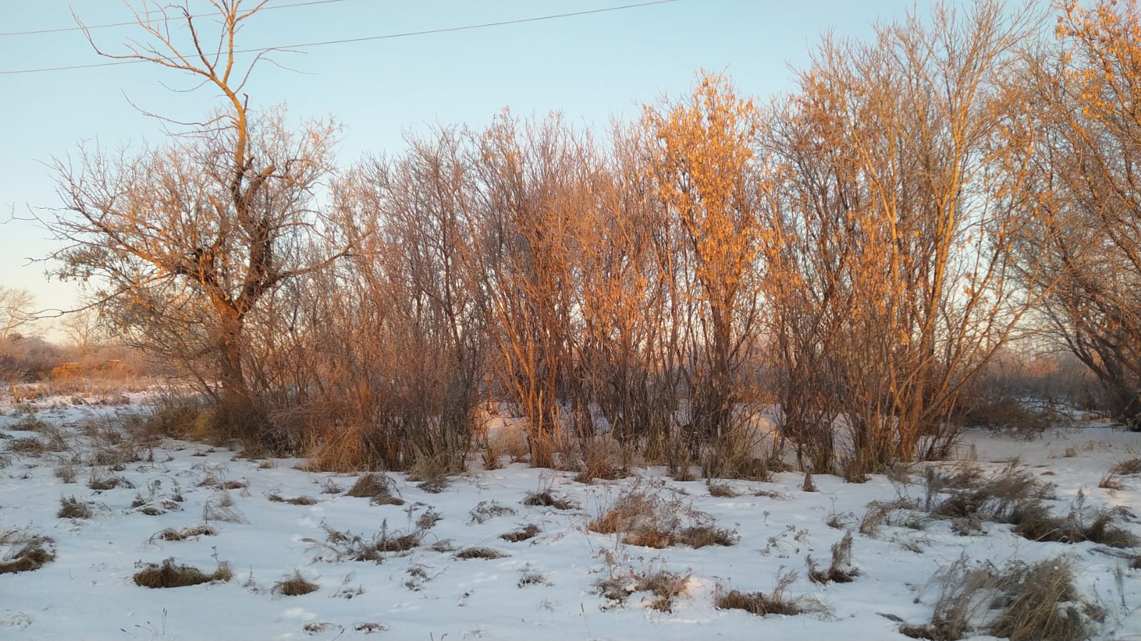 img-1