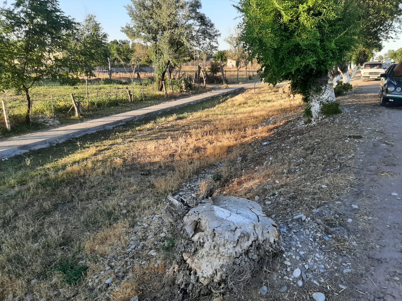 img-4
