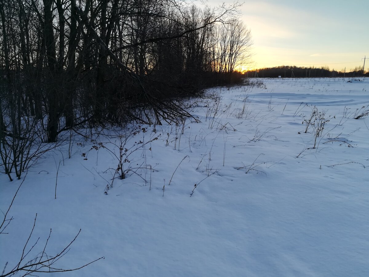 img-1