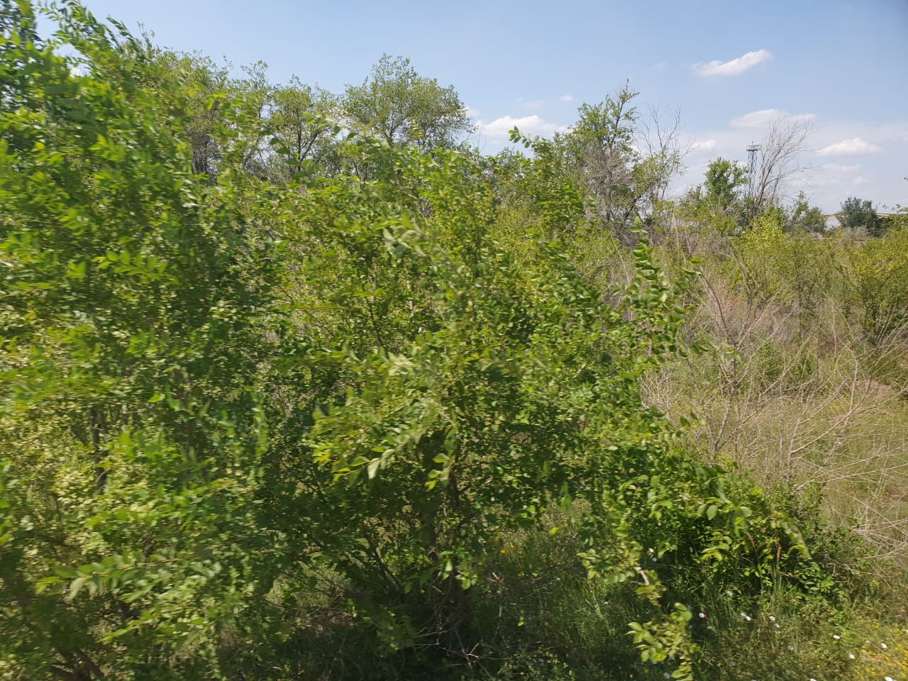 img-1