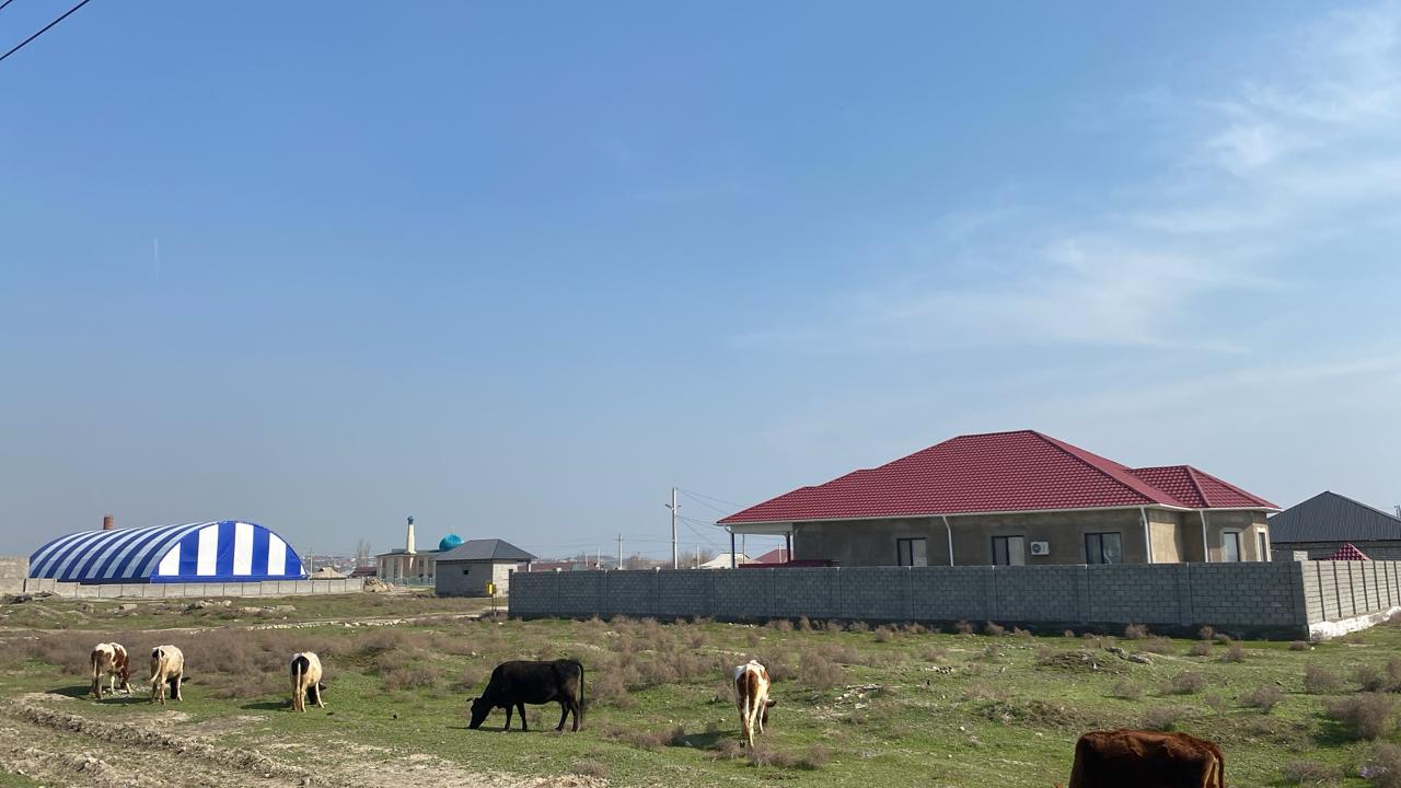img-8