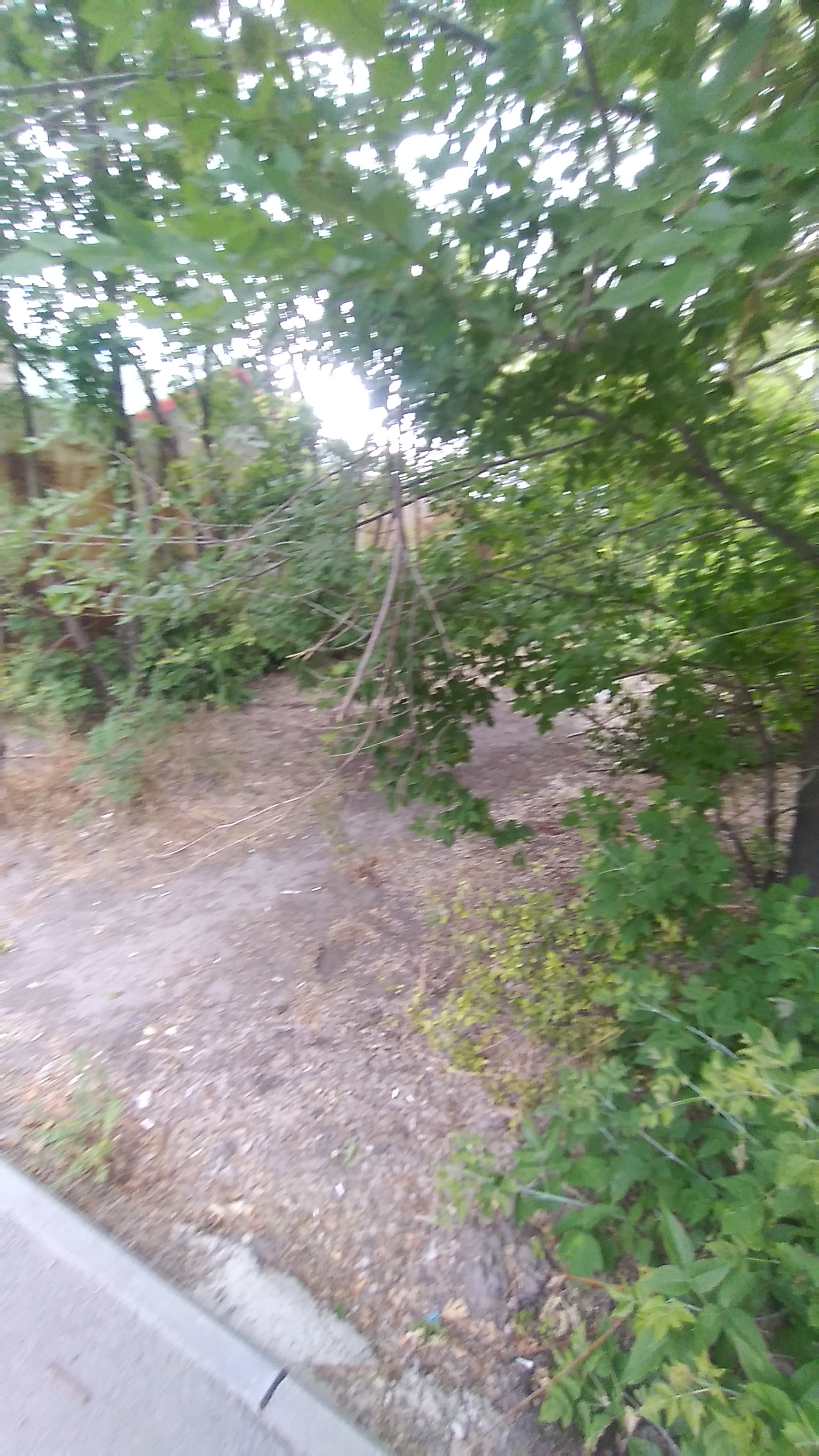 img-2