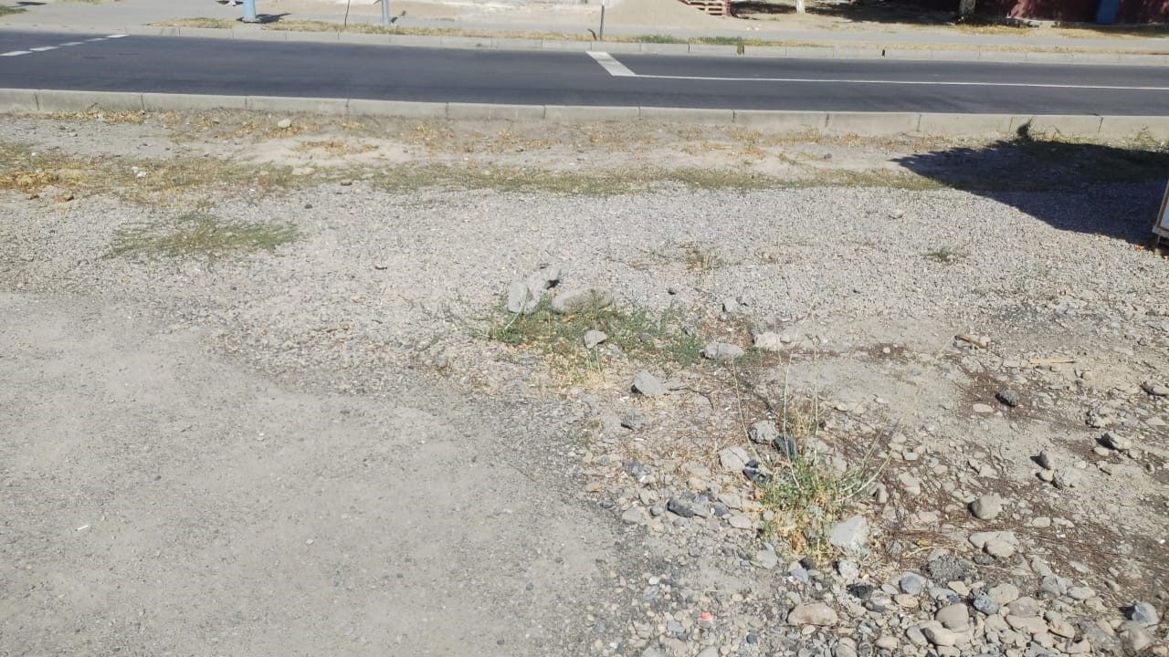 img-1