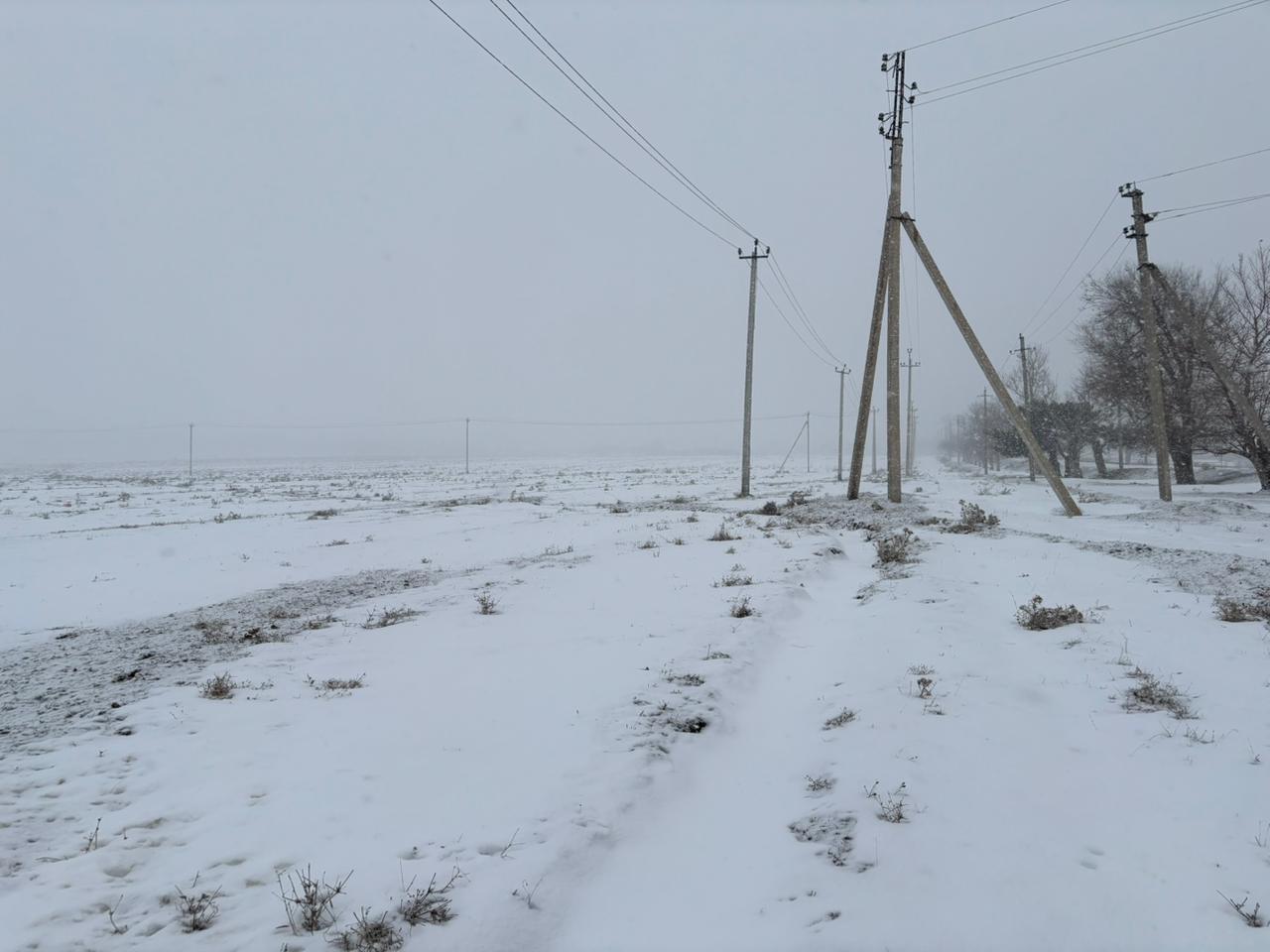 img-3