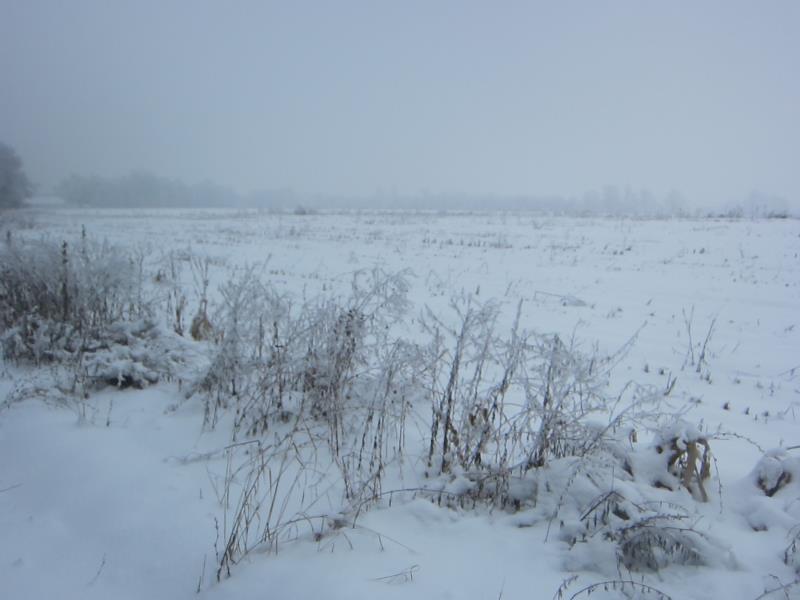 img-0
