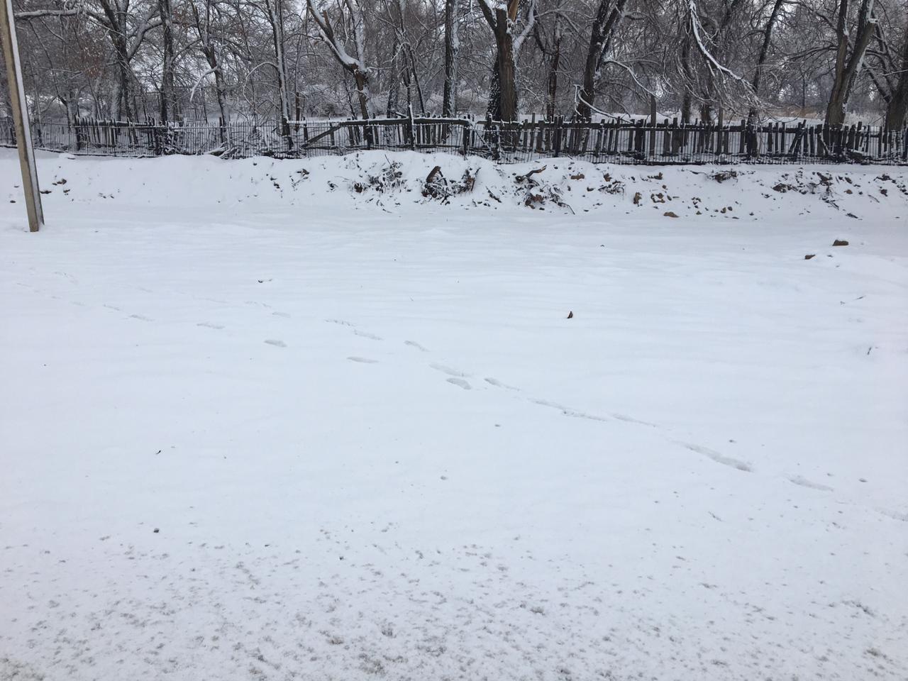 img-2