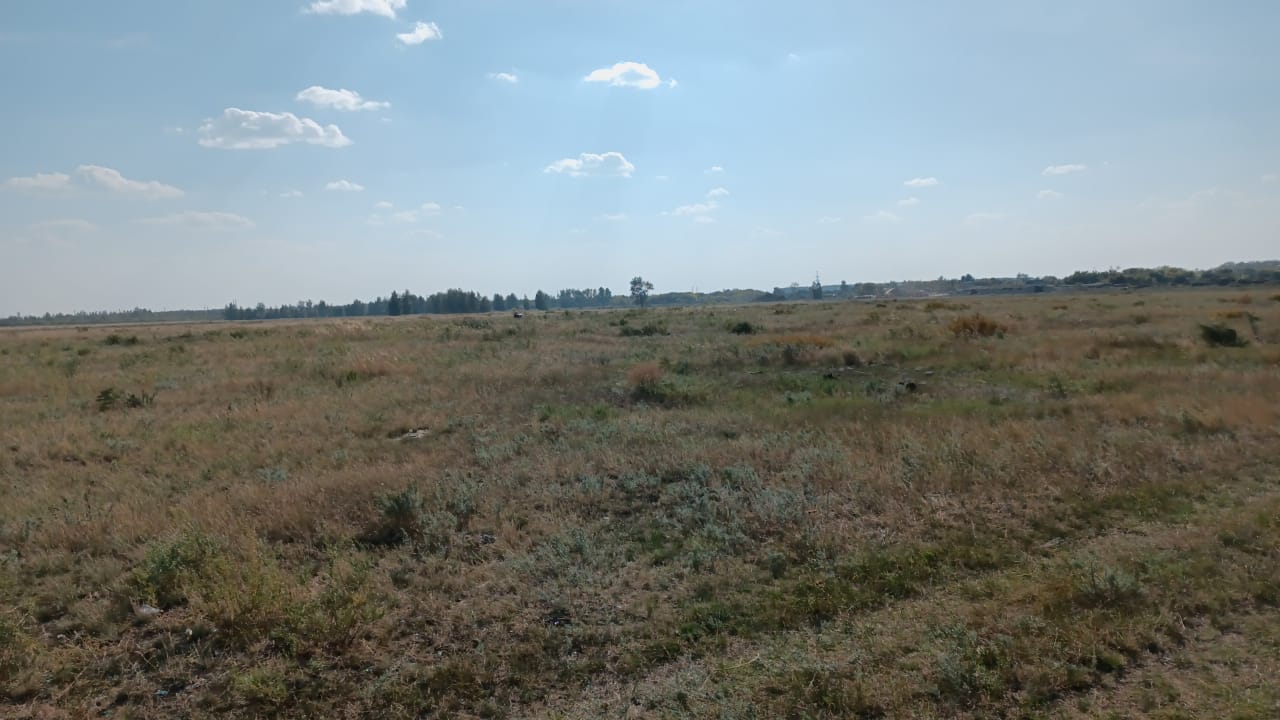 img-0