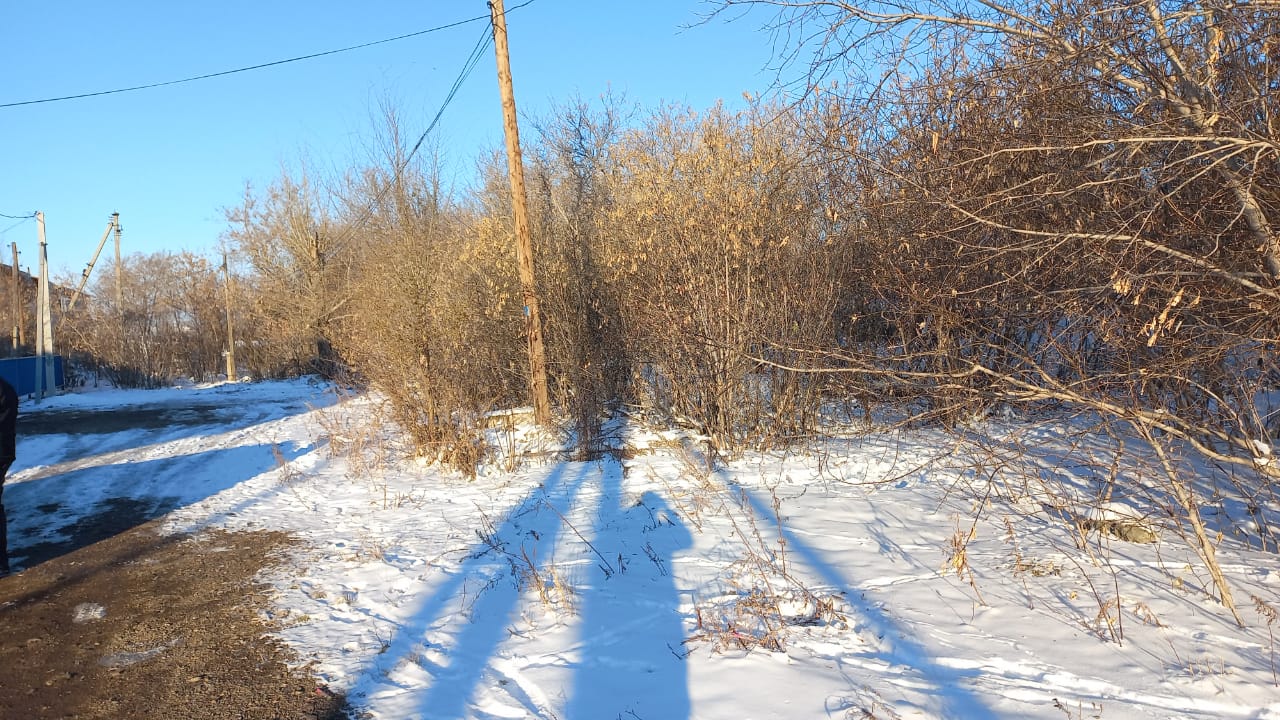 img-1
