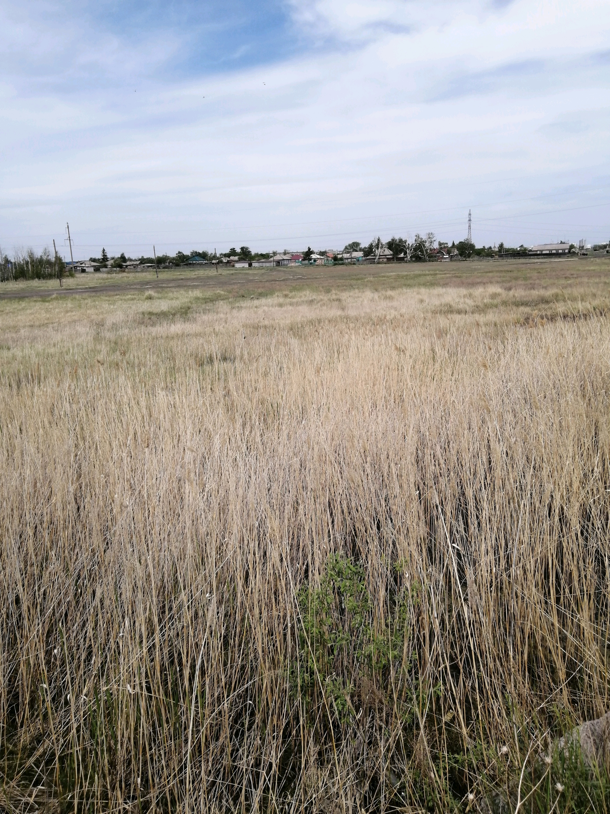 img-0