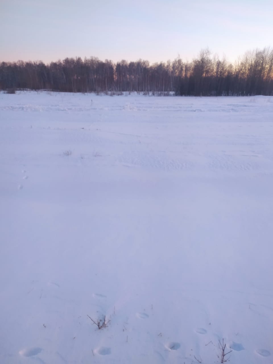 img-0