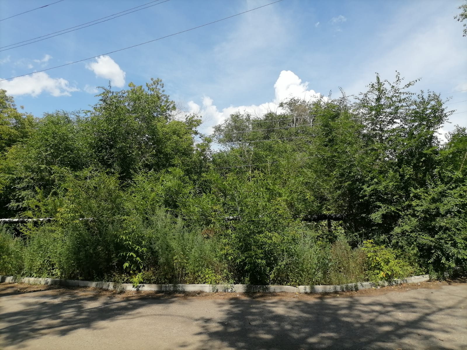 img-0