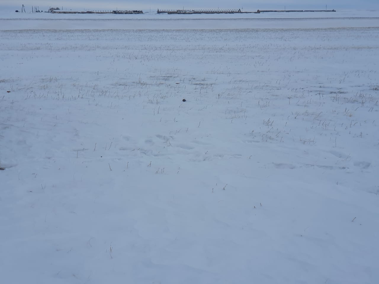 img-1