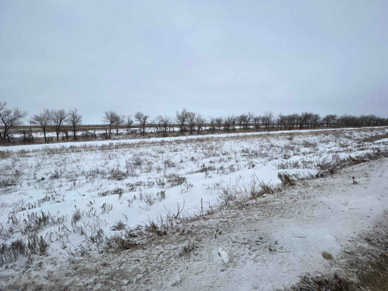 img-4