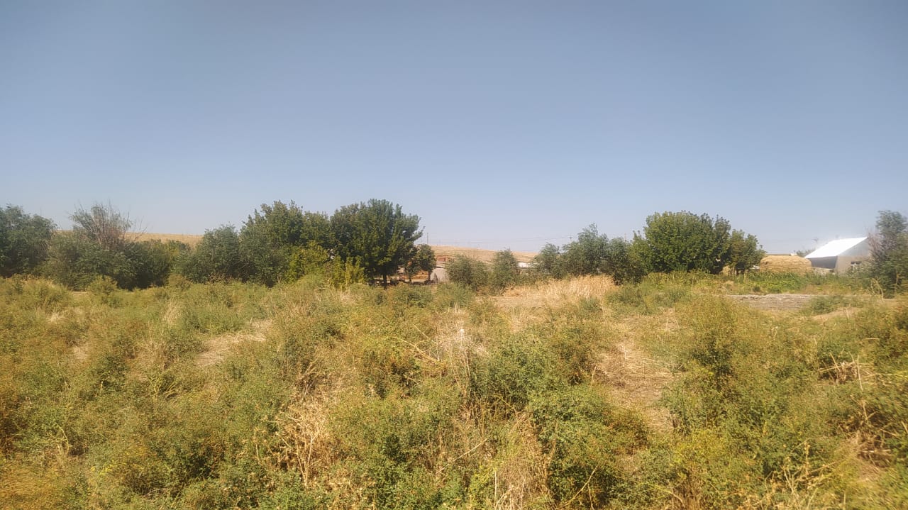 img-4