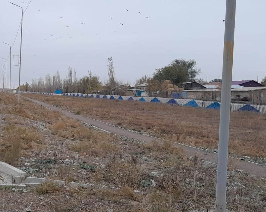 img-3