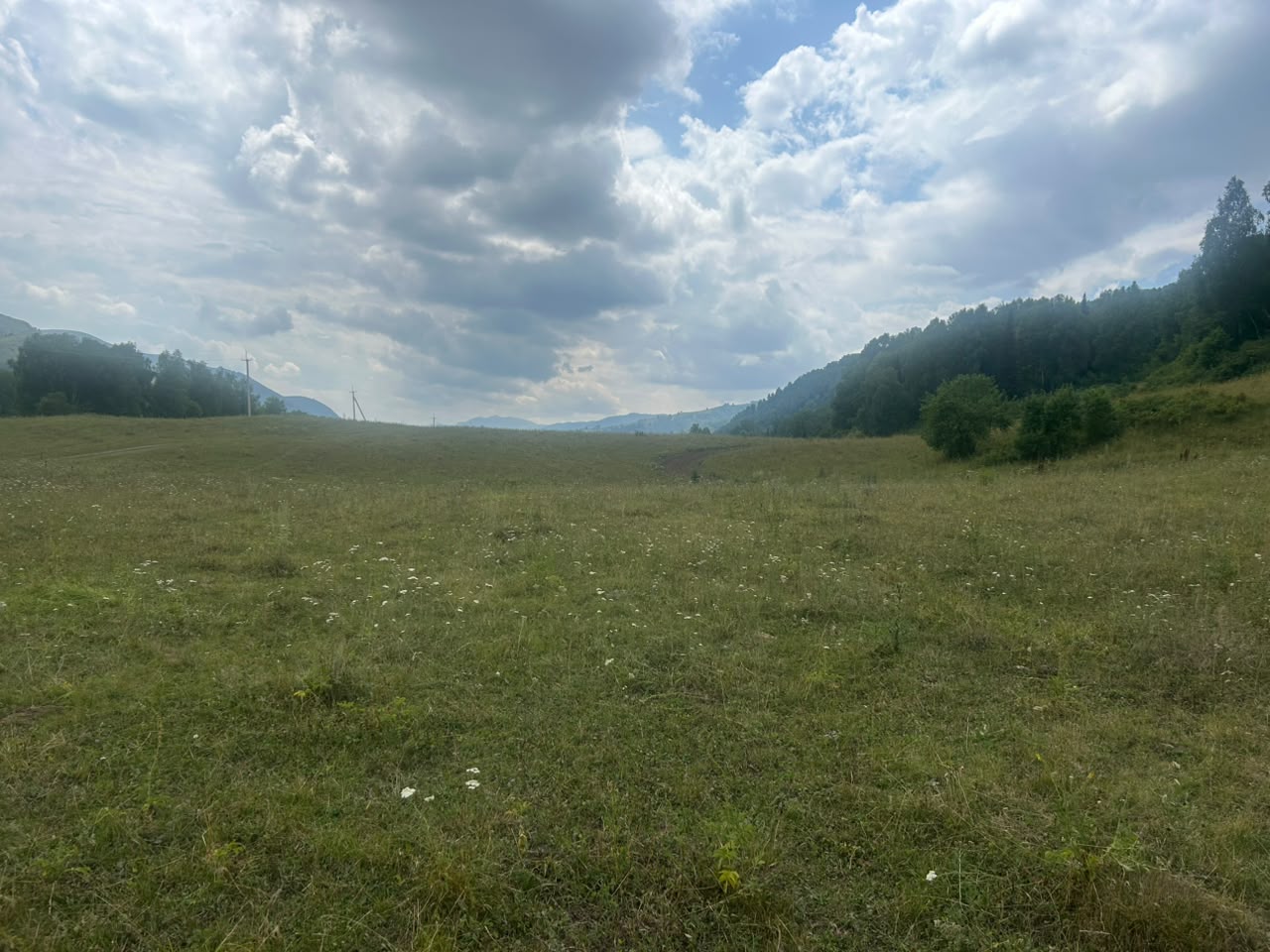 img-2