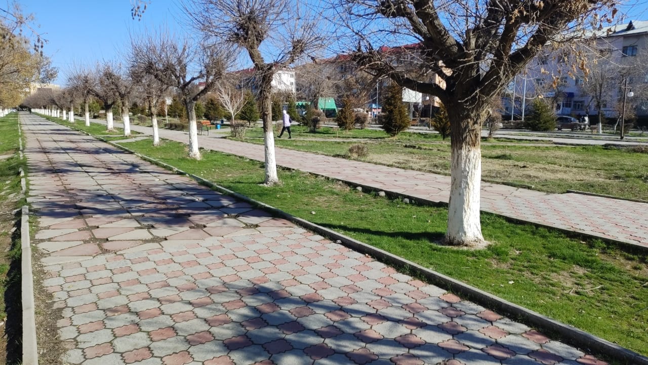 img-1