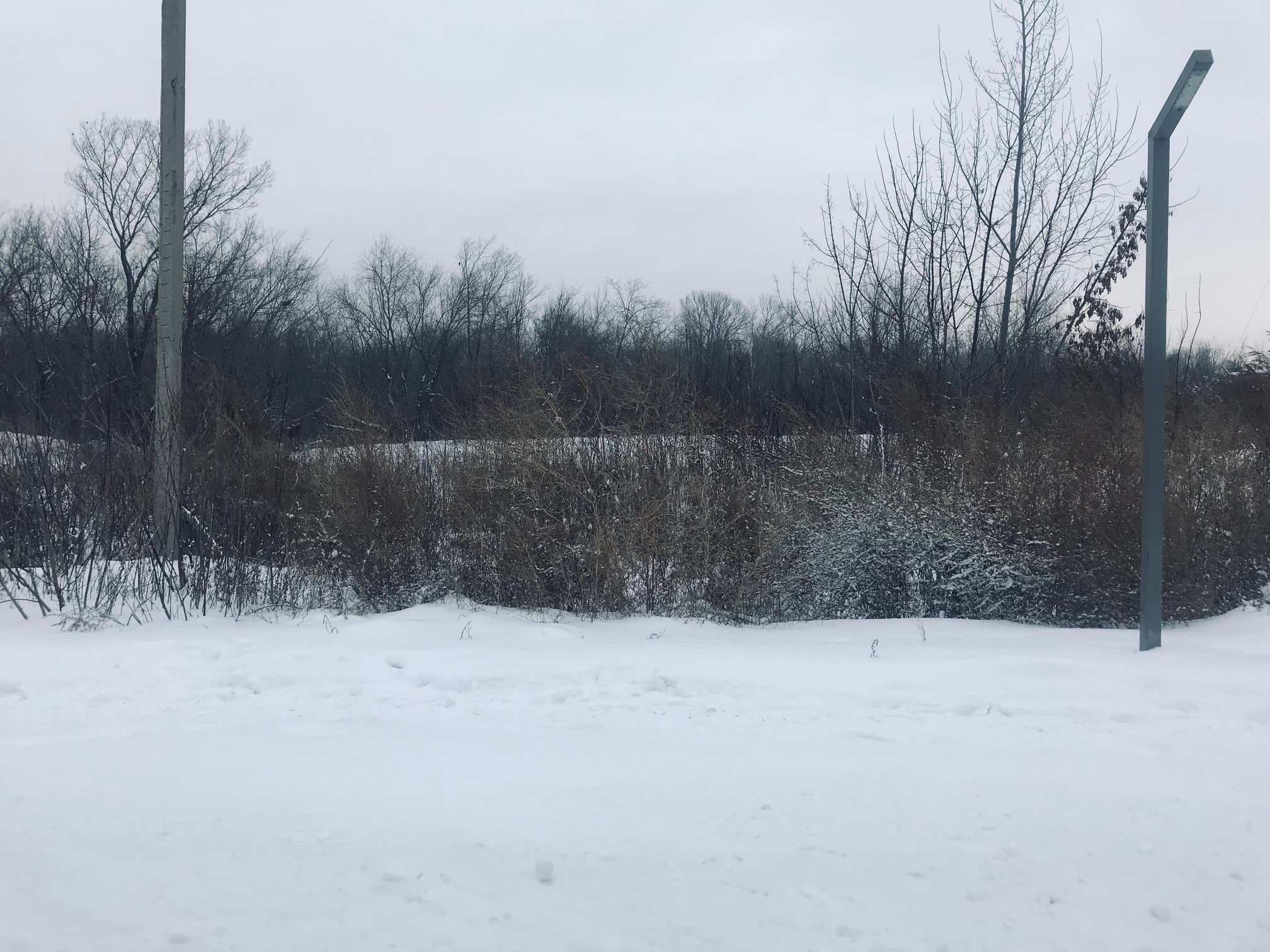 img-3