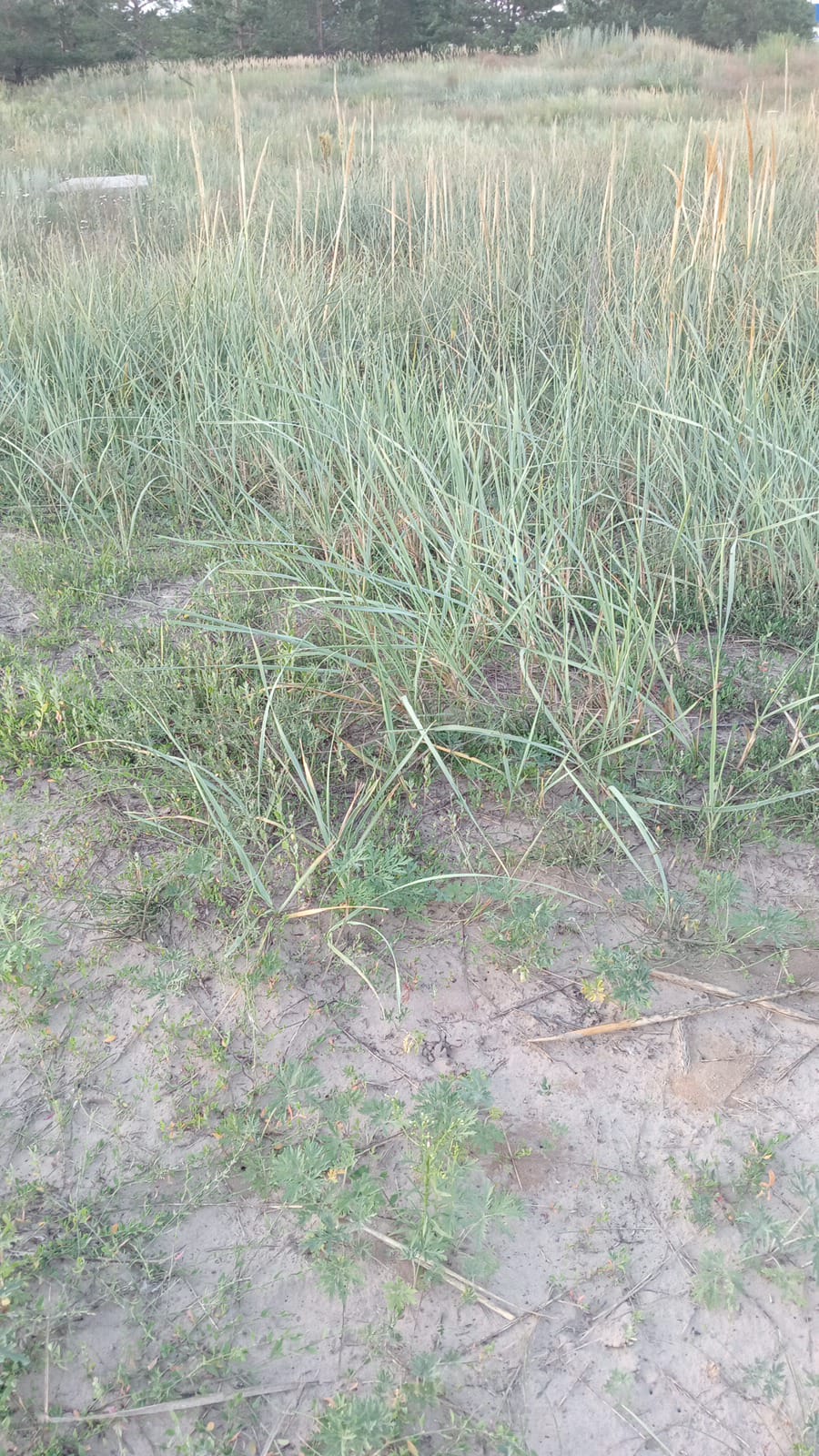 img-1