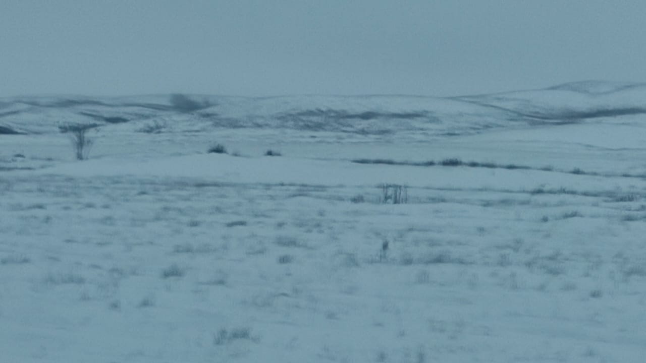 img-3
