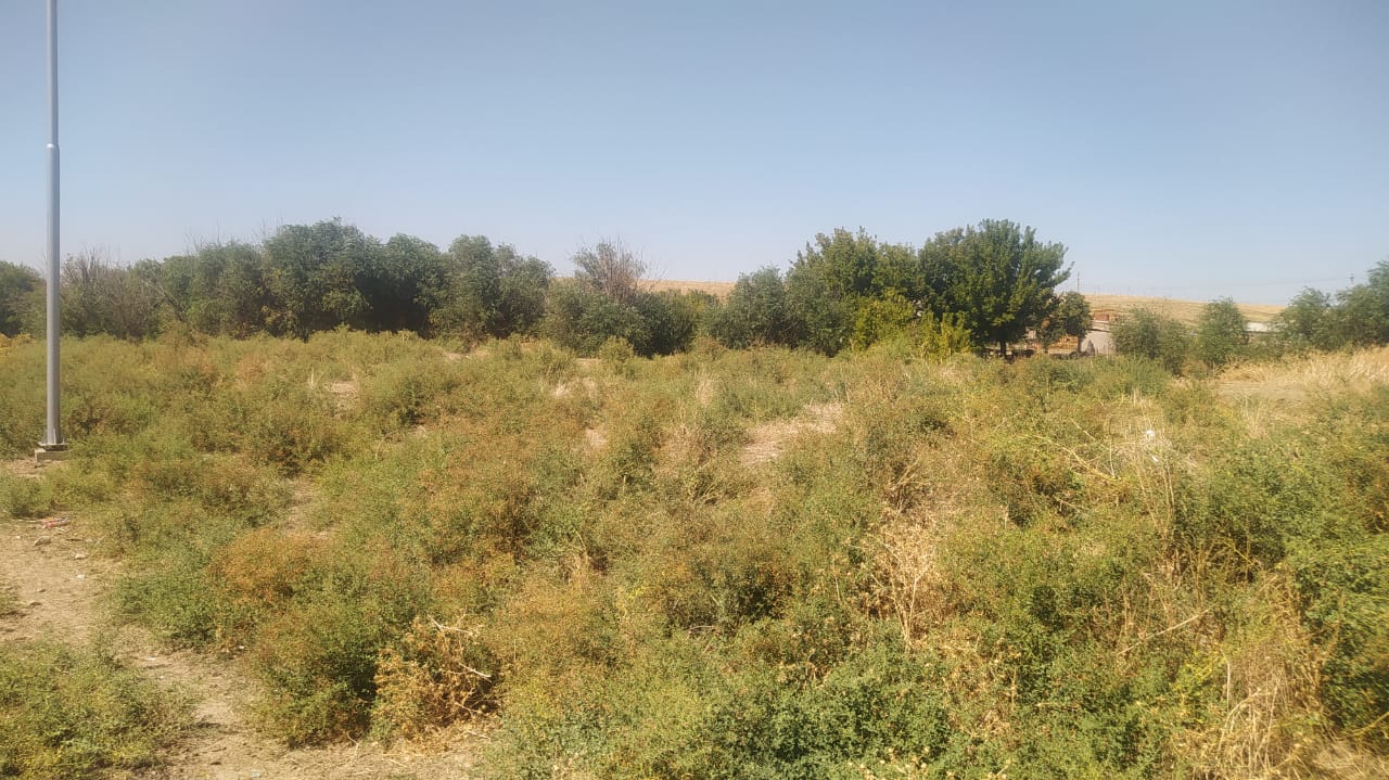 img-2