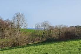 img-0
