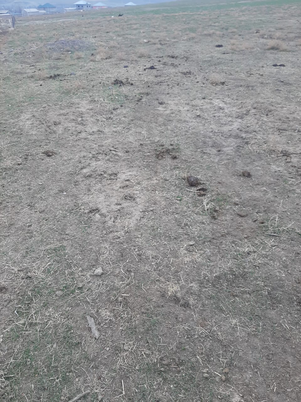 img-3