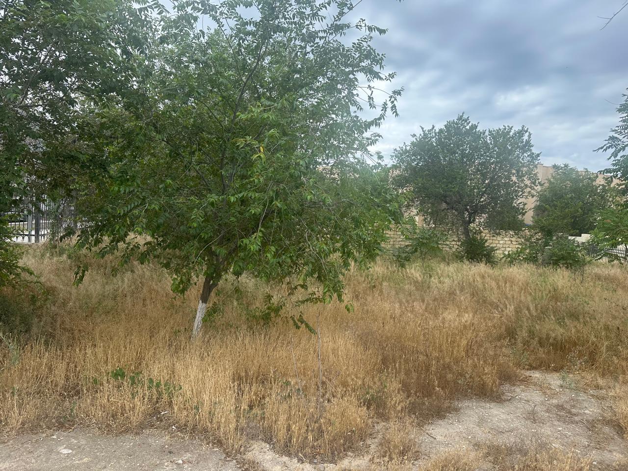 img-1