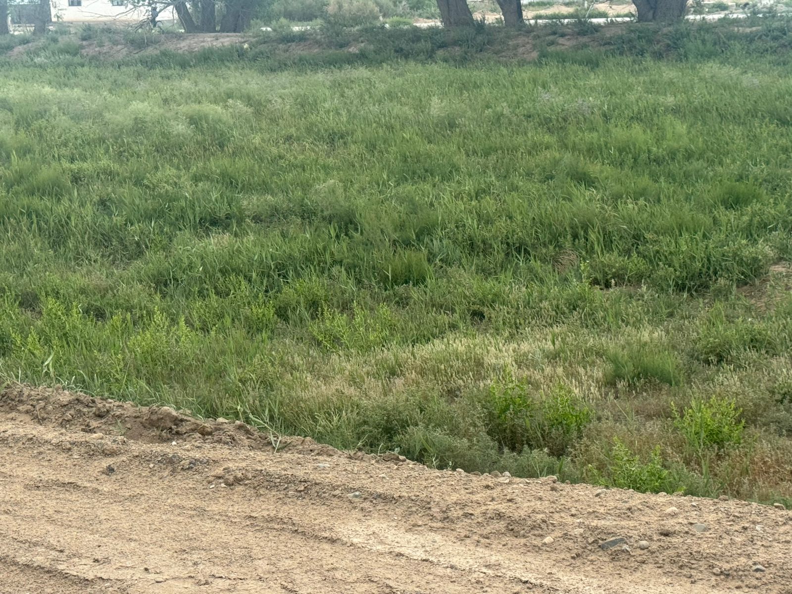 img-0