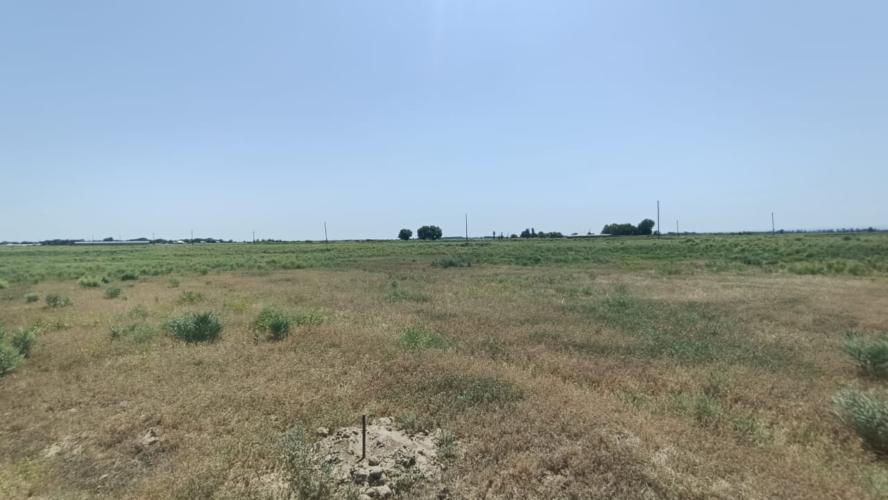 img-0