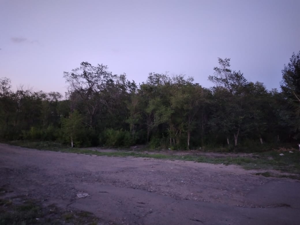 img-0