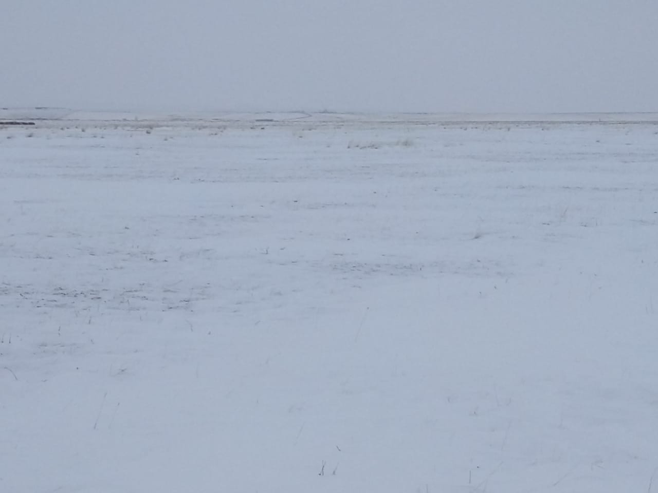 img-0