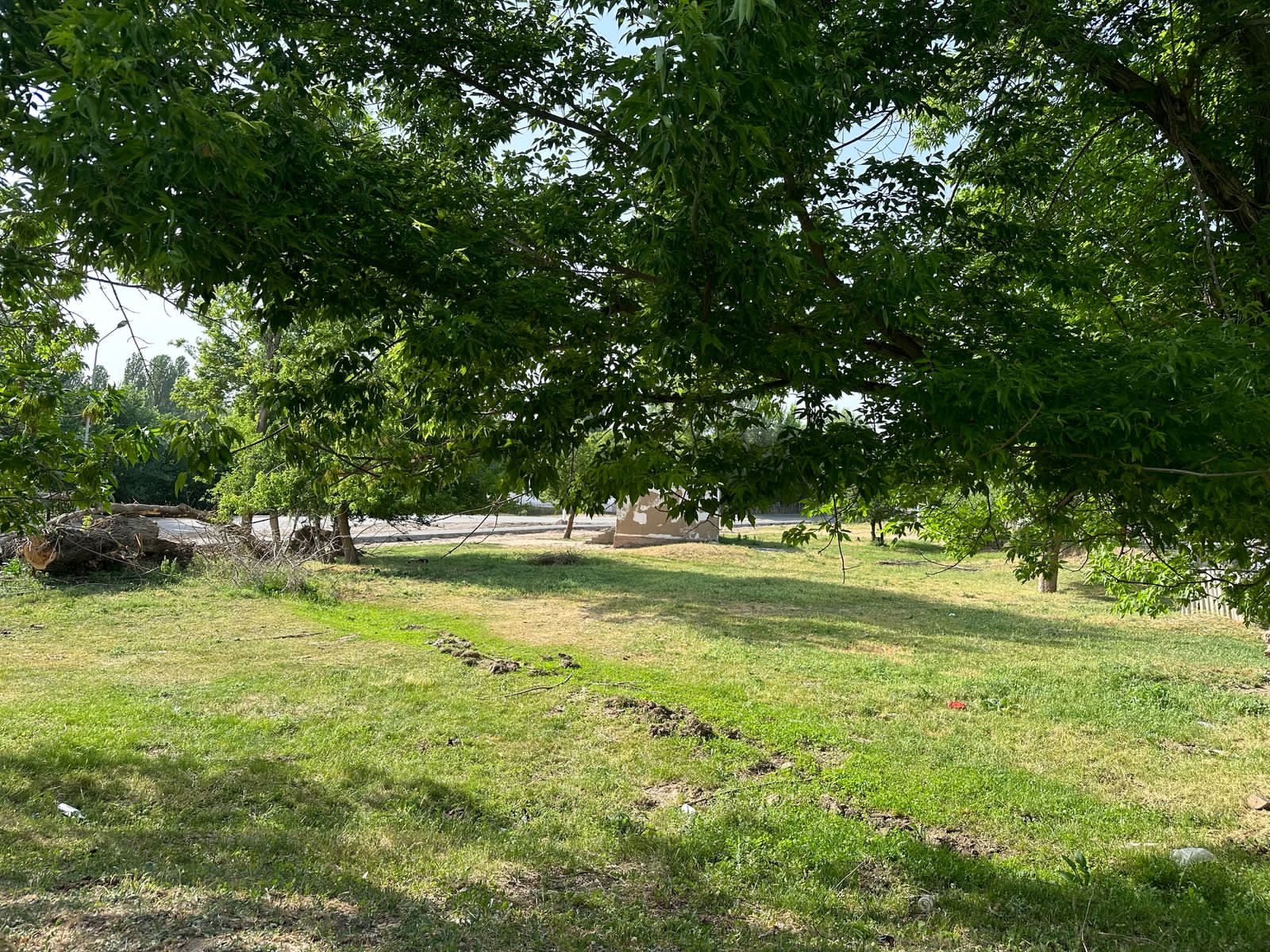img-2