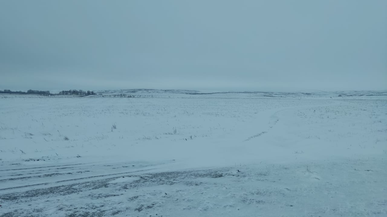 img-1