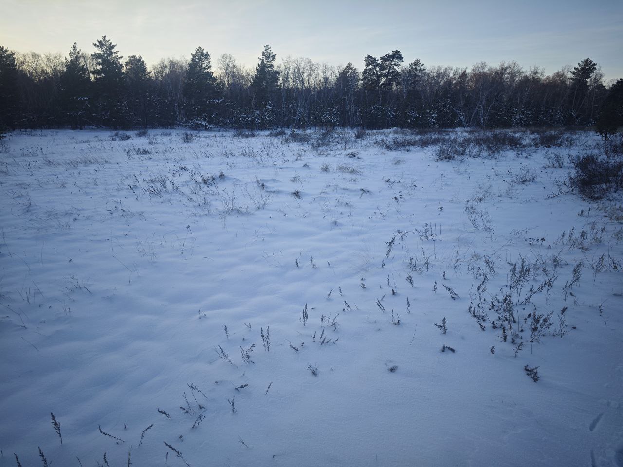 img-0