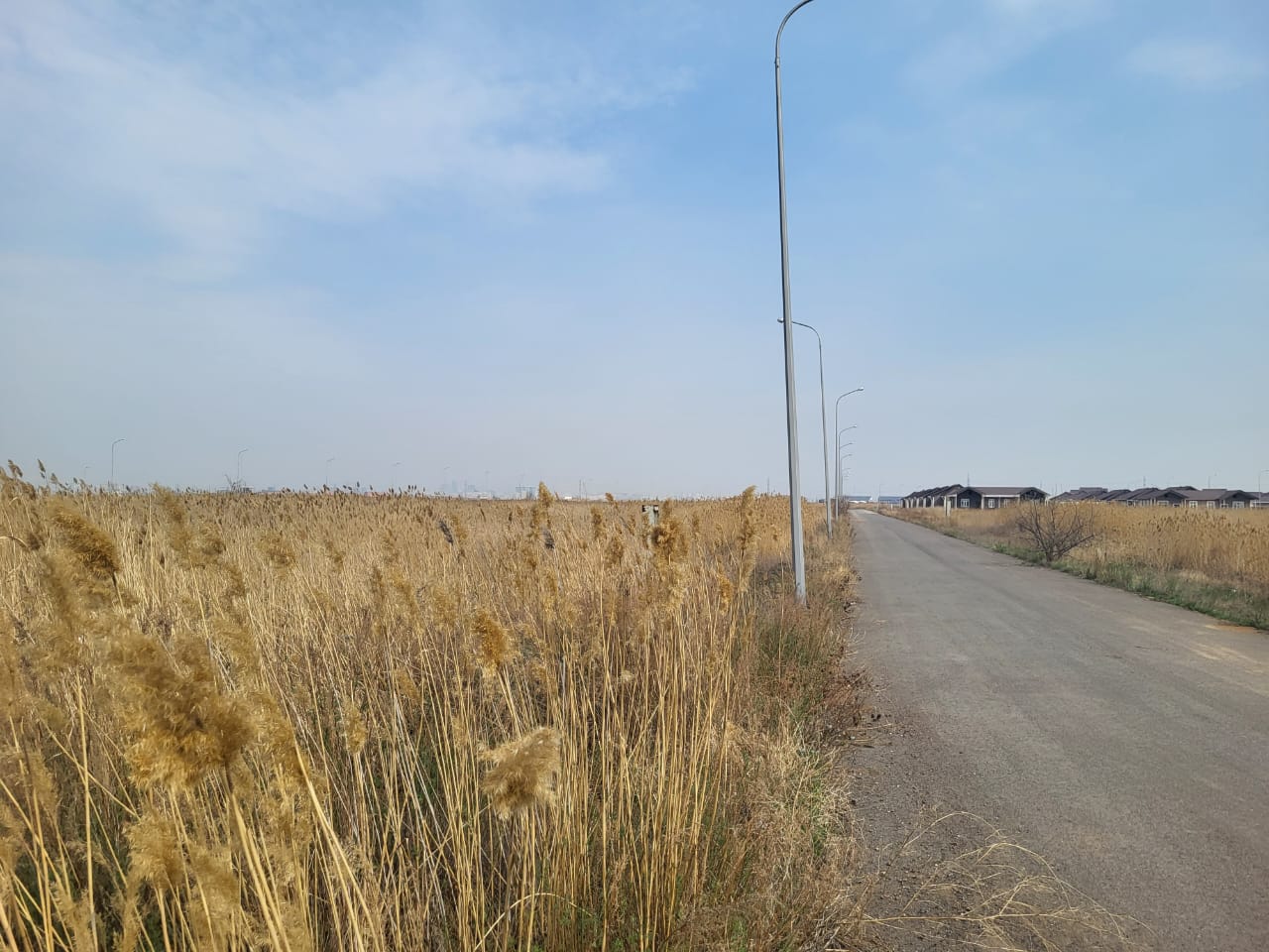 img-5