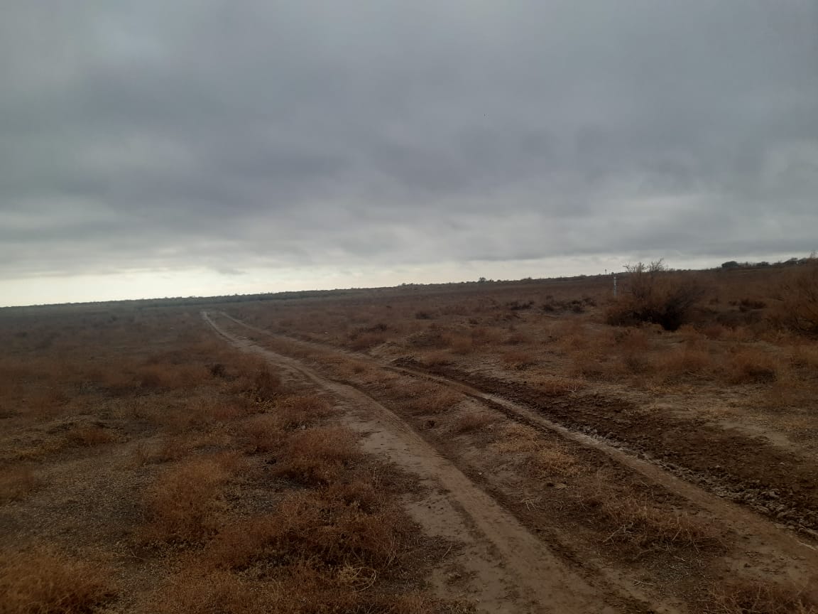 img-1